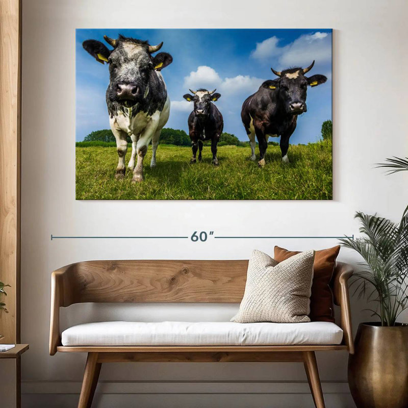 Vache, H 34 po x l 51 po