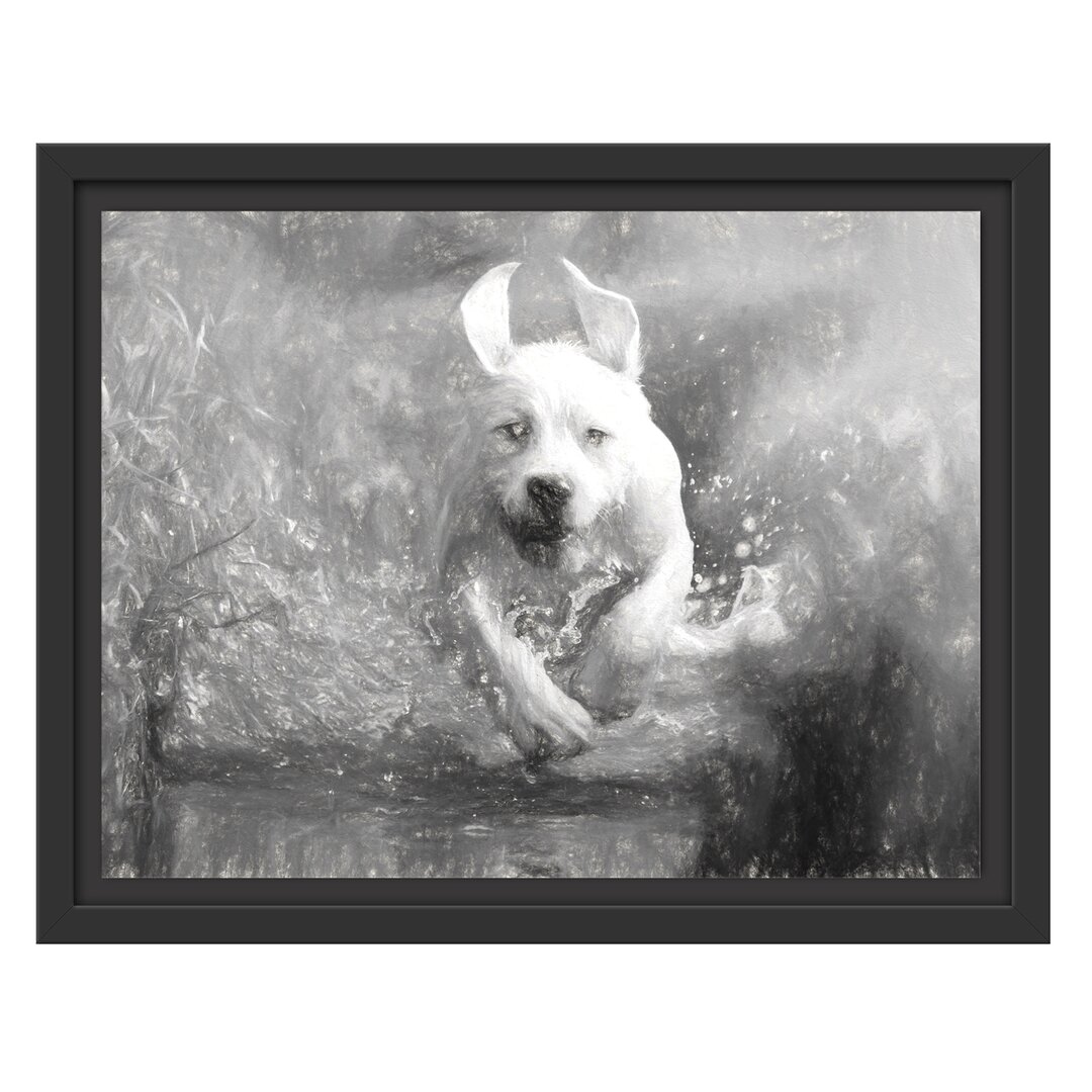 Gerahmtes Wandbild Labrador-Welpe Wasser