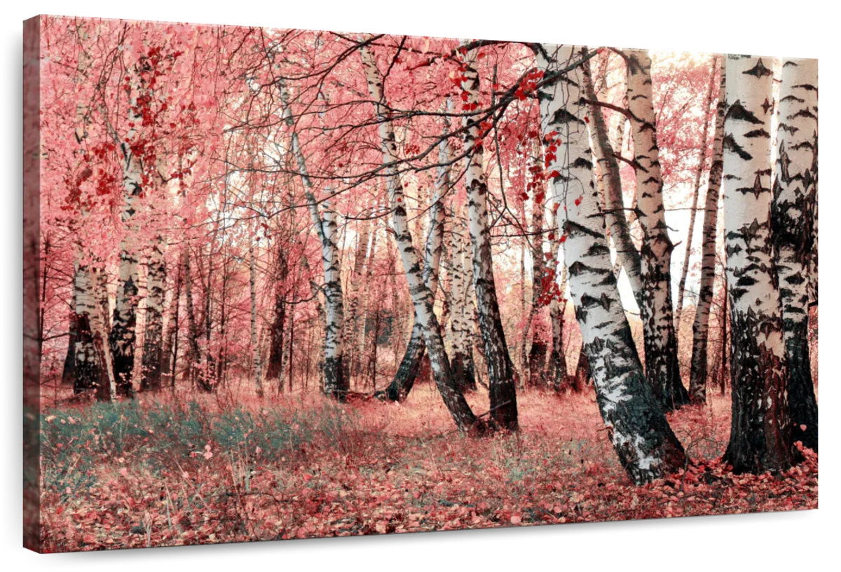 Millwood Pines Alvord Pink Birch Forest | Wayfair