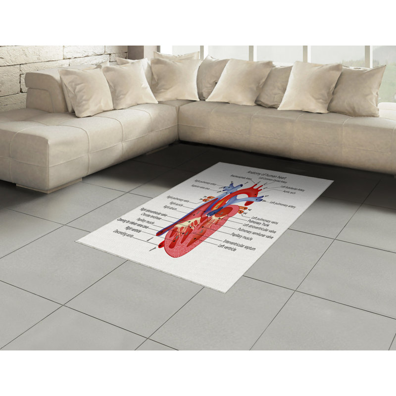 Science High Density Long Fiber Poly Threads Decorative Area Rug Carpet, Rectangle 2'7" x 5'