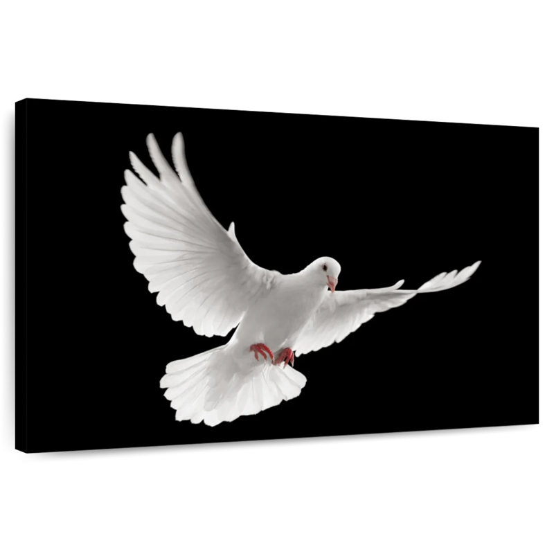 Brampt Flying White Dove, 24" H x 36" W