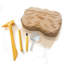 Geosafari Jr. Trousse de fouilles fossiles