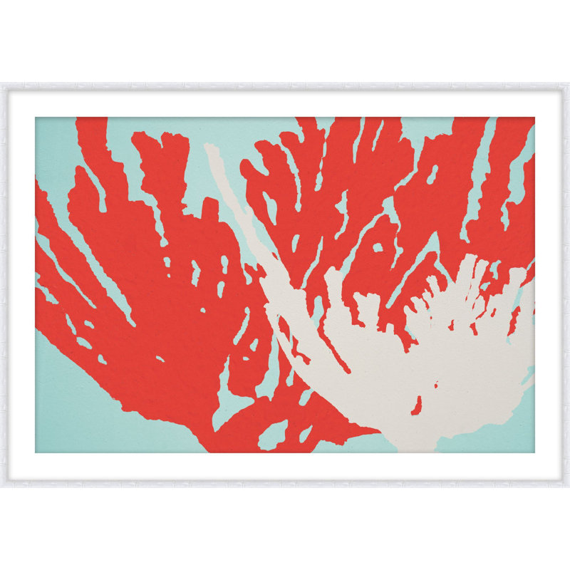 Coral 2 Print by Jennifer Mckinnon Richman, 18.2" H x 24.2" W