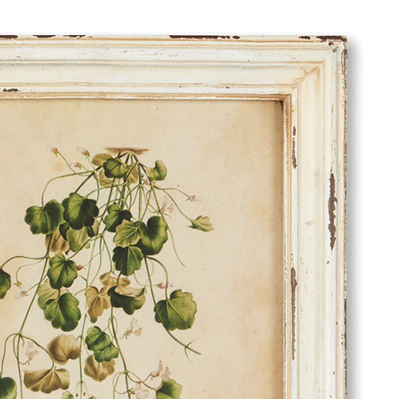 Wild Flower Botanical Set