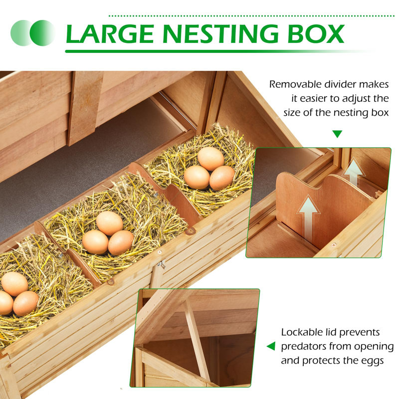 Datavian 27.39 ft² Chicken Coop with Roosting Bar