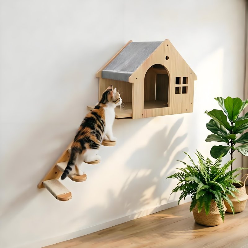 Escalier mural avec cage pour chat pour petits chats