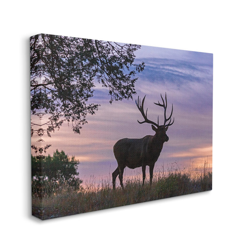 Wild Elk Sunrise Wild Forest, H 16 po x l 20 po x P 2 po, Toile tendue