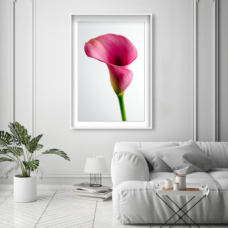 Pink Luminescence II Shadowbox Floral & Botanical Print by Oliver Gal, Black Frame, 10 x 15, 37.5"H x 55.5"W, White Shadowbox