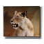 «Wildness Lioness» par - peinture sur toile tendue-1391418891
