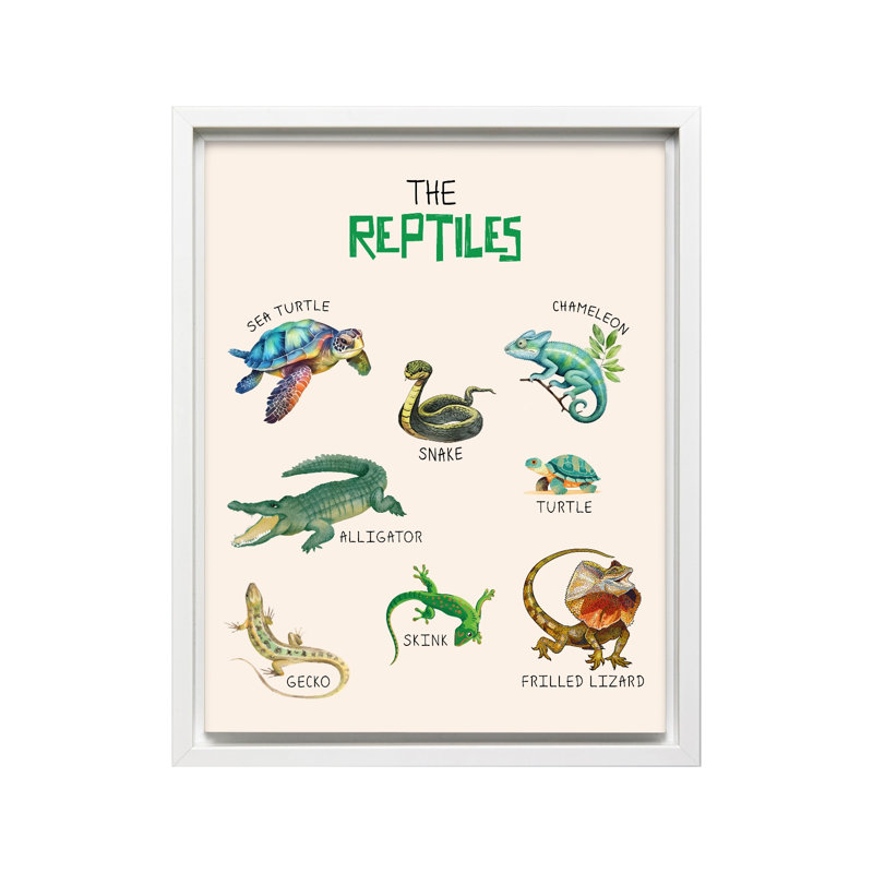 Les reptiles, Canvas, 12"H x 16"W, White Framed