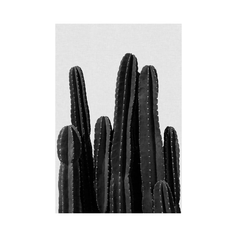 Cactus I B&W by Orara Studio - Wrapped Canvas Print, 101.6 cm H x 66.04 cm W x 3.175 cm D