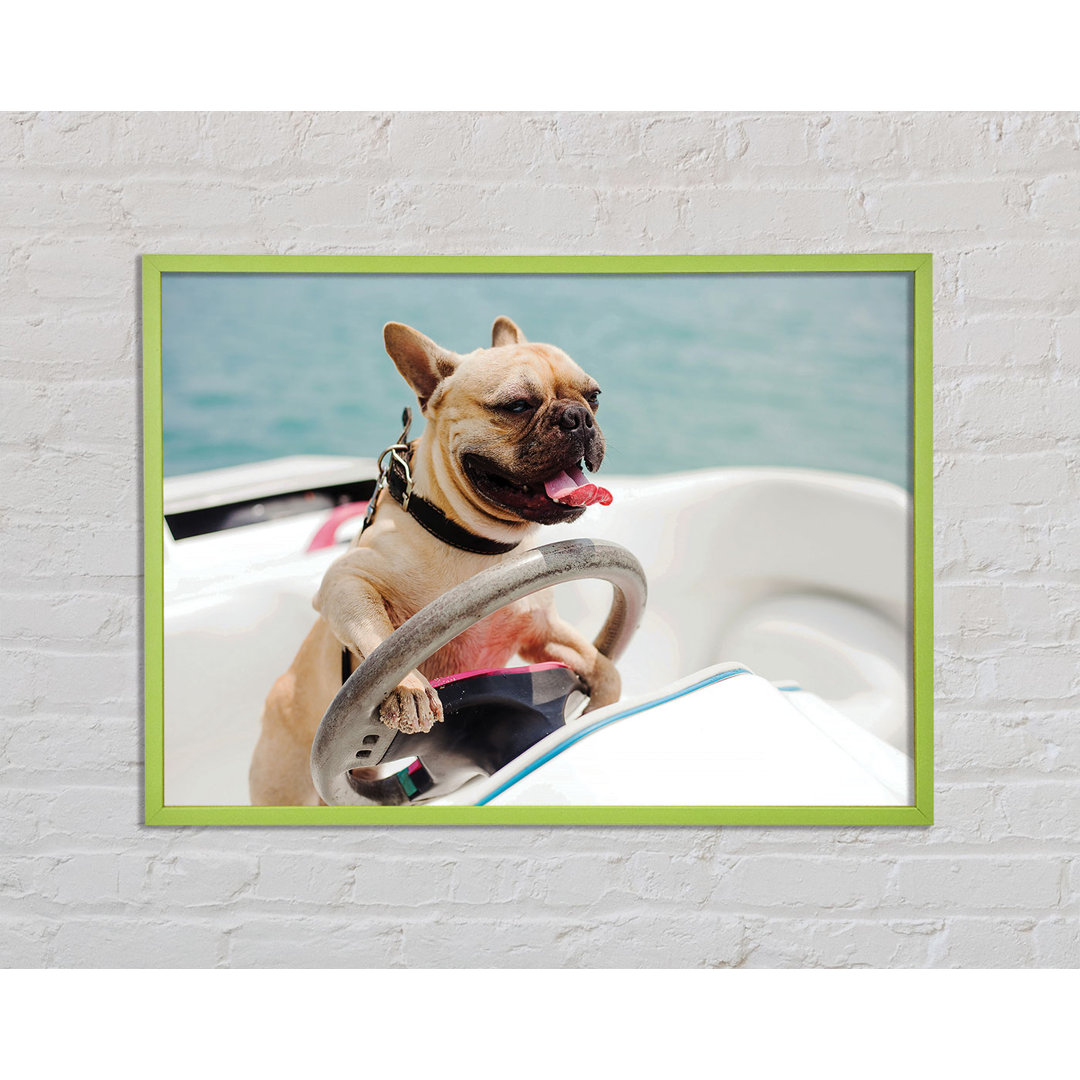 Chocheles Speed Boat Französische Bulldogge - Einzelner Bilderrahmen Kunstdrucke