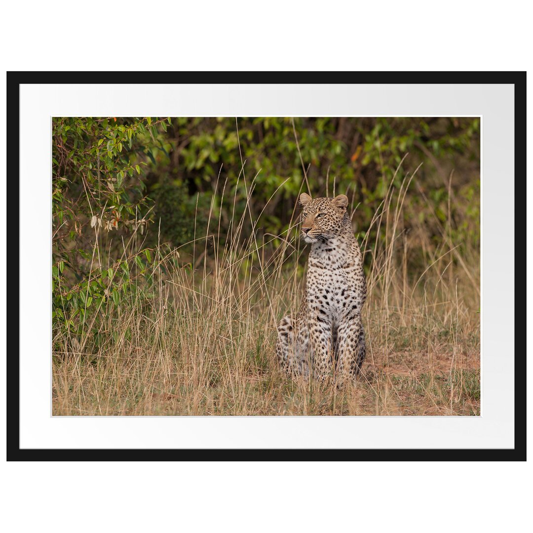 Gerahmtes Poster Anmutiger Leopard im hohen Gras