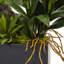 Arrangement floral mixte en pot-22592421