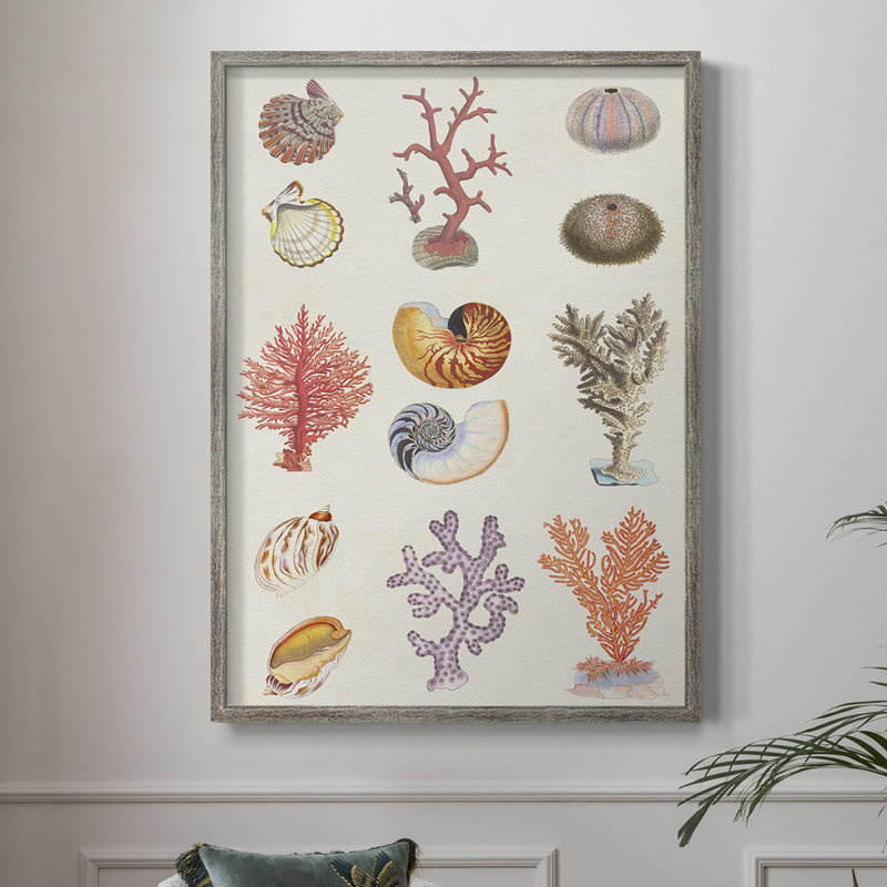 «Coral & Shell Collage I», reproduction encadrée - bois massif, H 11 po x l 9 po