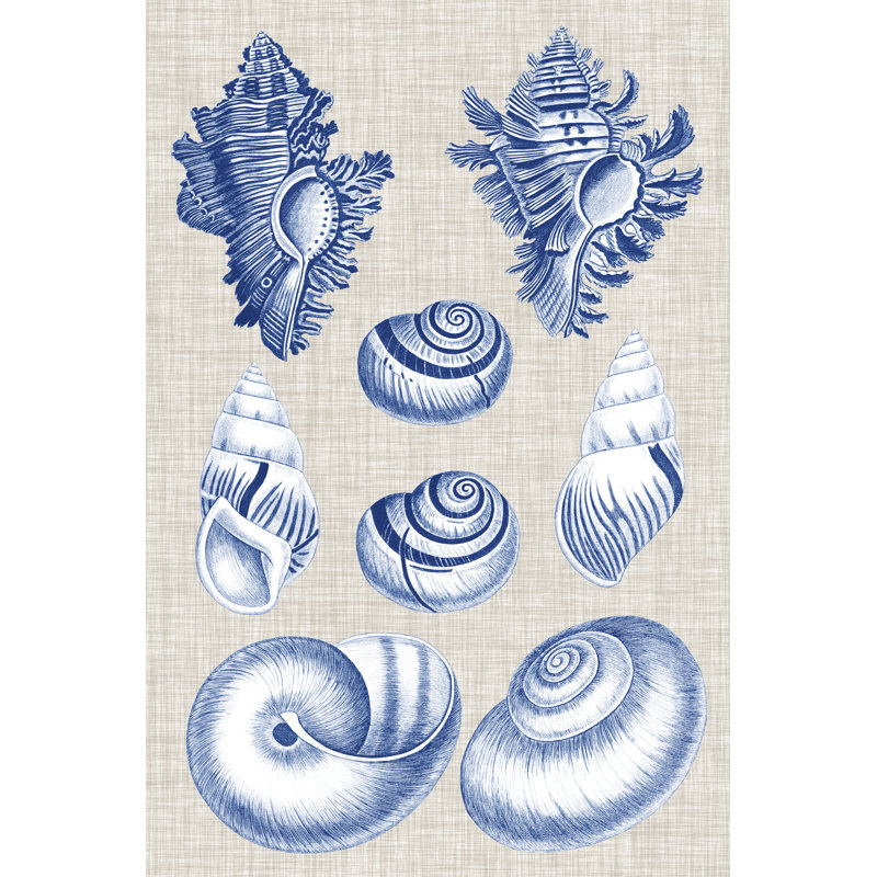 Navy & Linen Shells IV by Vision Studio - Painting, 91cm H x 61cm W, Black Floater Framed
