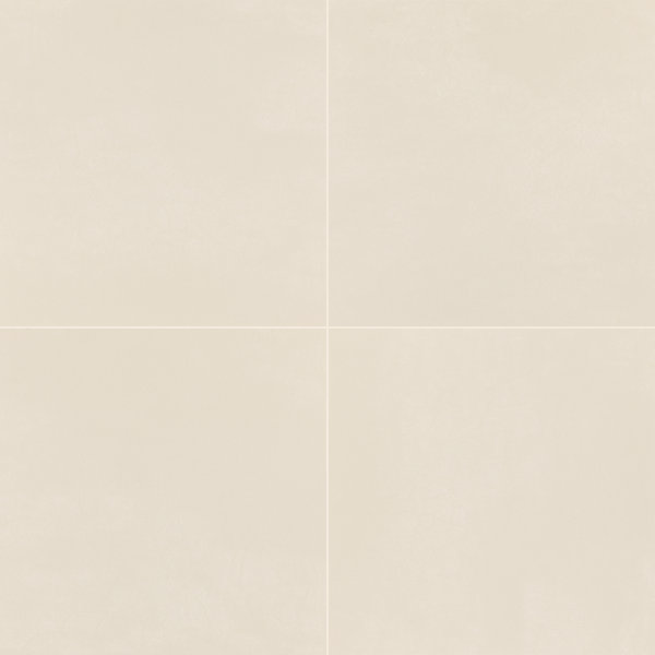 Daltile Cohesion 24 x 24 Color Body Porcelain Floor Tile (3 PC Per Carton) (11.51 SQFT Per Carton)