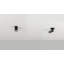 Haul 1.56'' Simple Cylinder LED Flush Mount-63328273