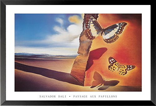 «Landscape with Butterflies» par Salvador Dali, impression encadrée