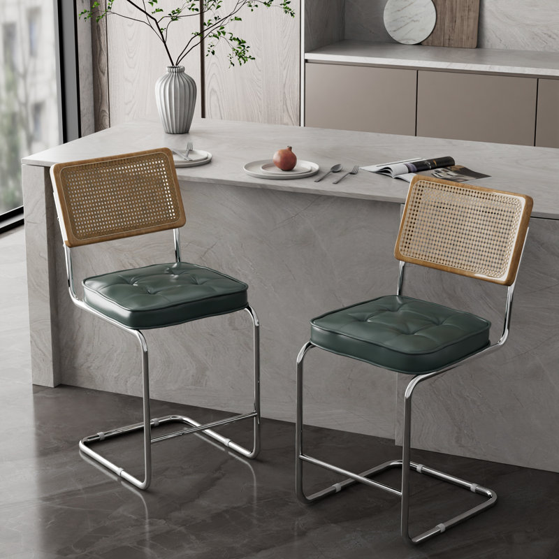 Tabouret de bar / tabouret de bar en acier inoxydable avec dossier en rotin - ensemble de 2, Green
