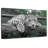 Green Eyed Jaguar-107505878