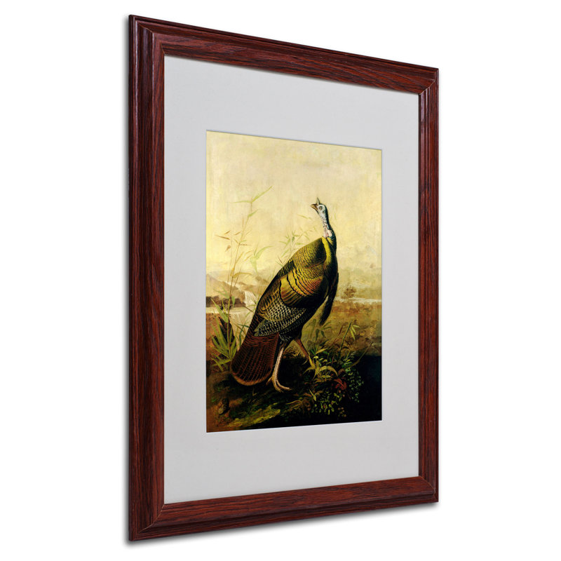 James Audubon - Single Picture Frame Print on Canvas, 20" H x 16" W x 0.5" D, Brown