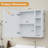 Lehti 21.7'' W x 22'' H Surface Mount Framed Medicine Cabinet with Mirror and 5 Fixed Shelves-790666675
