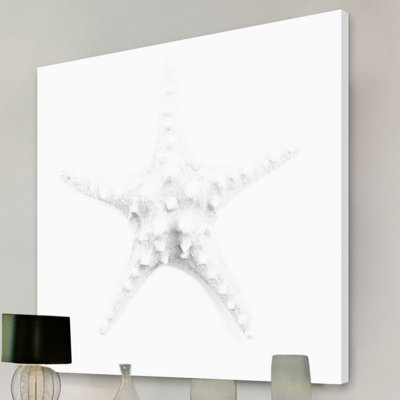 Shiro Star - Wrapped Canvas Print