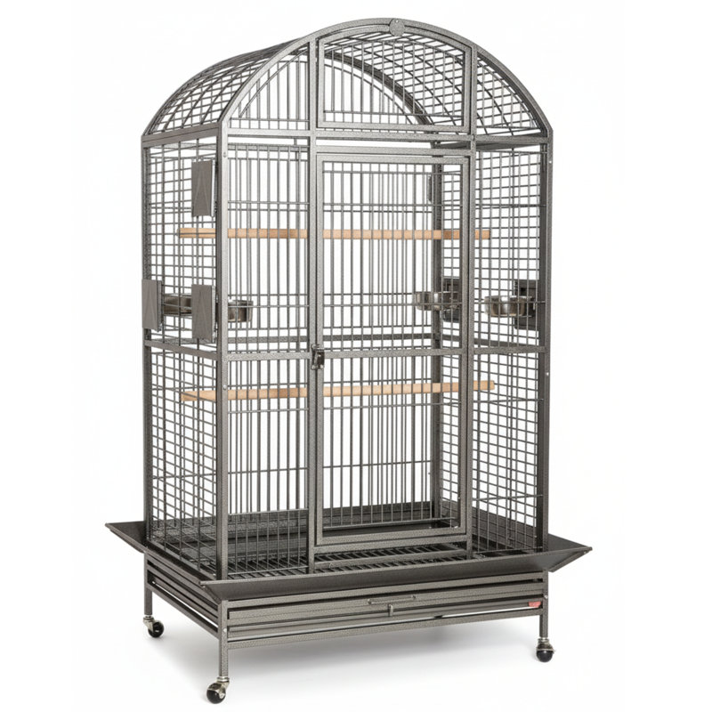 Cage XX XX, Extra Extra Large (75" H x 40" W x 30" D), Platine