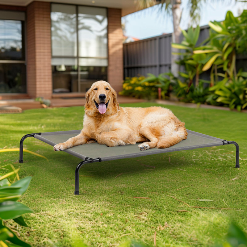 50"D X 31"W X 8"H Dog Bed Gray