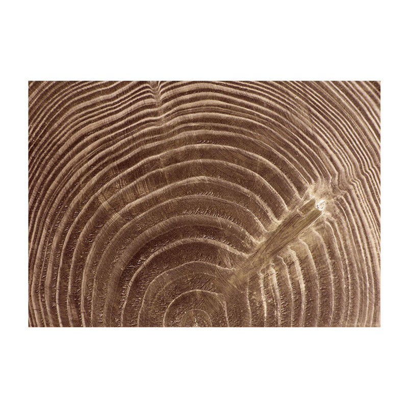 Roll, 96.5" L x 137.8" W