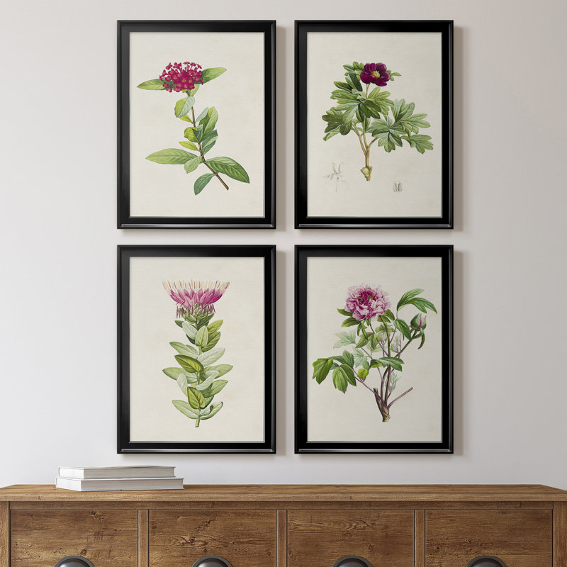 «Pretty Pink Botanicals II», toile encadrée de qualité supérieure - prête à être accrochée, Cadre noir