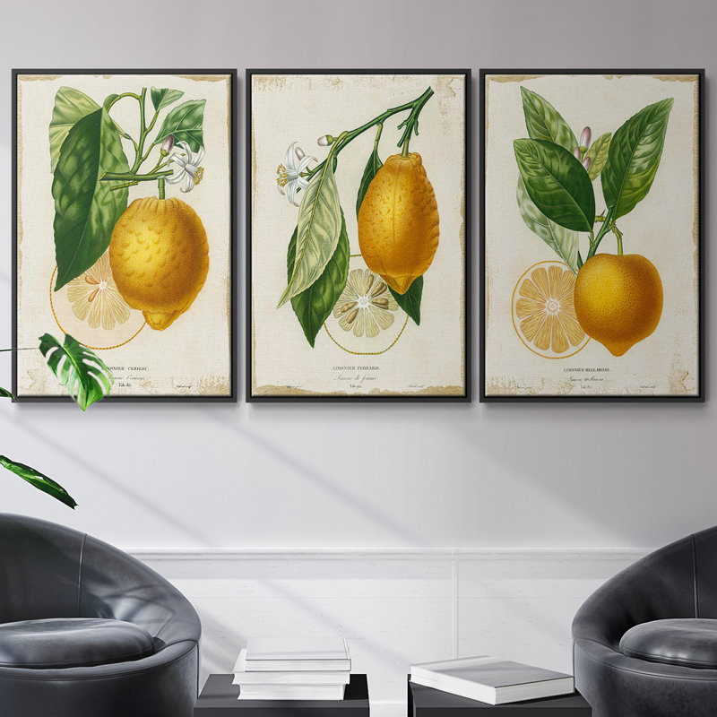 Citron français I 3 pièces, H 27 po x l 54 po, Noir