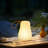 Portable Outdoor Table Lamp LED Camping Lantern Light Rechargeable