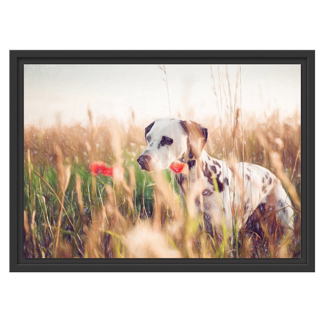 Gerahmtes Wandbild Neugieriger HundFeld