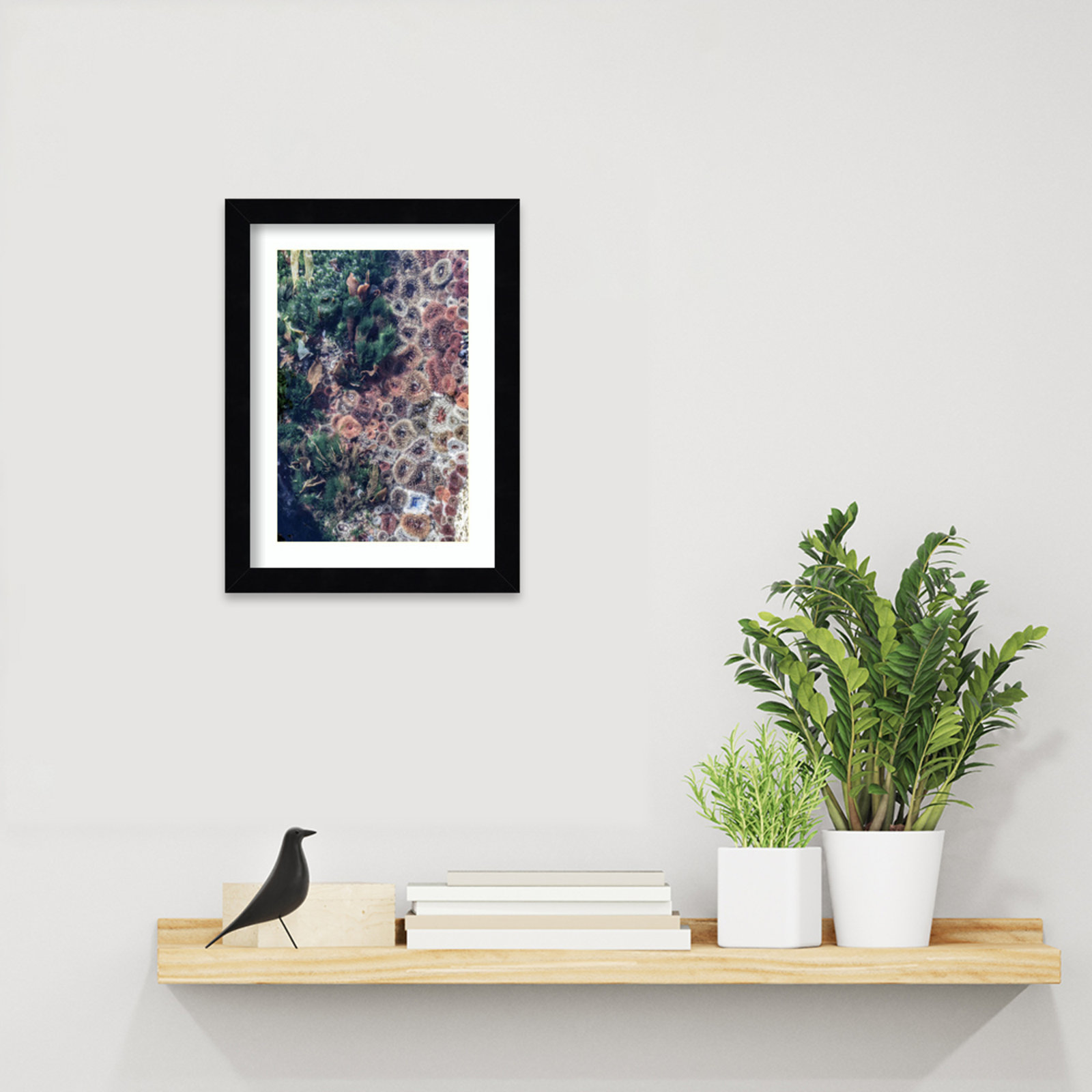 Daisey "Ocean Curiosities" Print, Black, 13" H x 10" W
