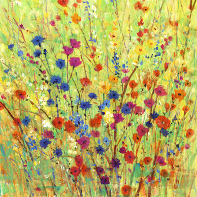 Wildflower Patch I by Timothy O' Toole - Wrapped Canvas Painting
