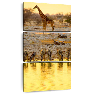 Etosha Park Safari Animals