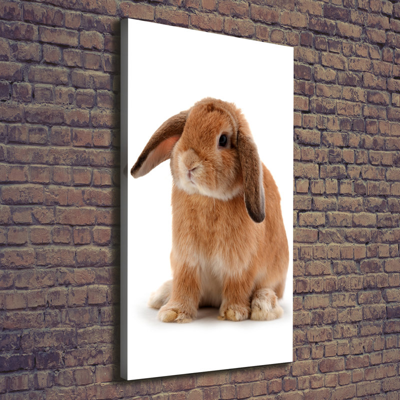 Rabbit - Wrapped Canvas Print