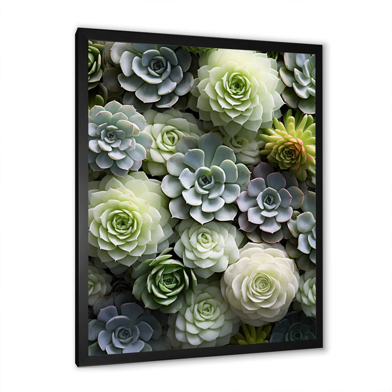 Potterslea " Green Succulents Flowers Serene II ", 40" H x 30" W x 1.5" D, Black Picture Frame