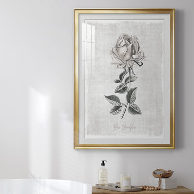" Vintage Botanical II " Painting Print