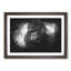 A Silverback Gorilla - Picture Frame Graphic Art Print-56875941-56875942