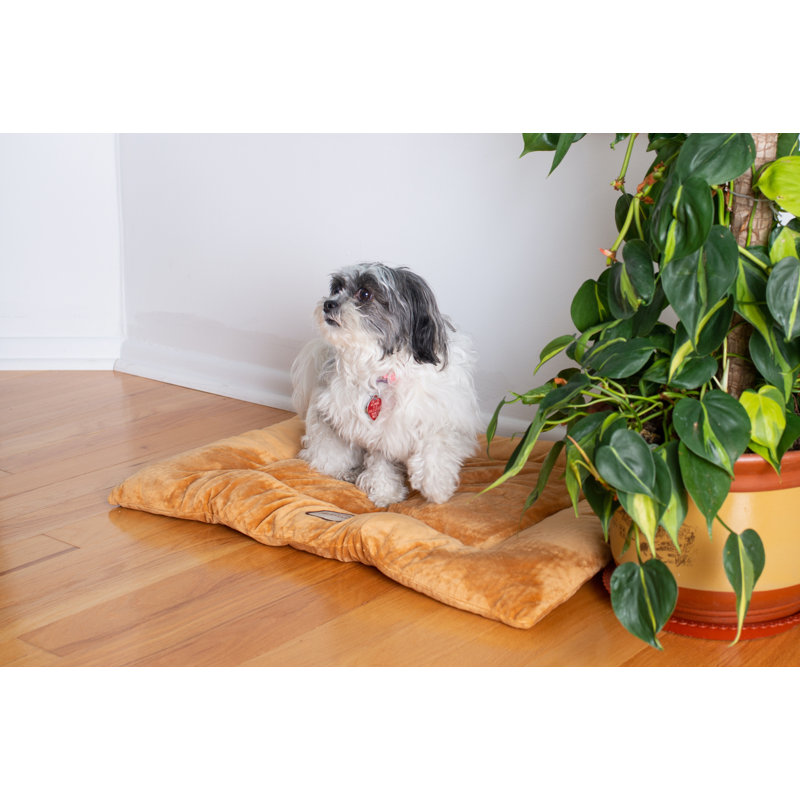 Earth Brown Large Polyester Pet Bed Mat