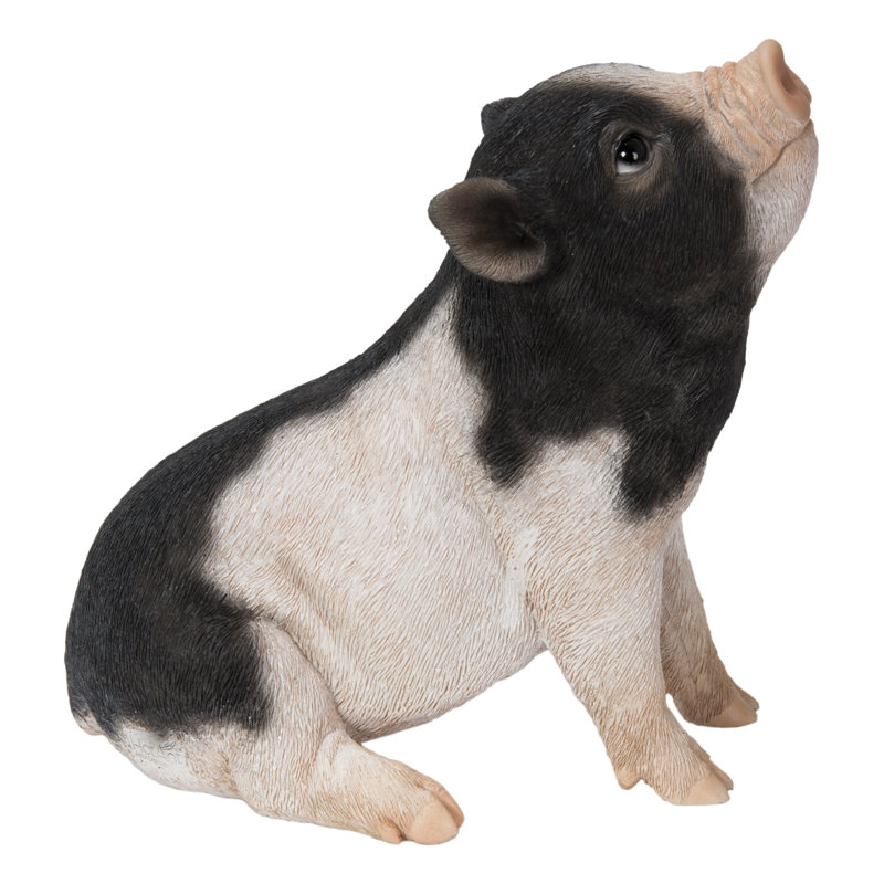 Bébé cochon assis, Noir / blanc