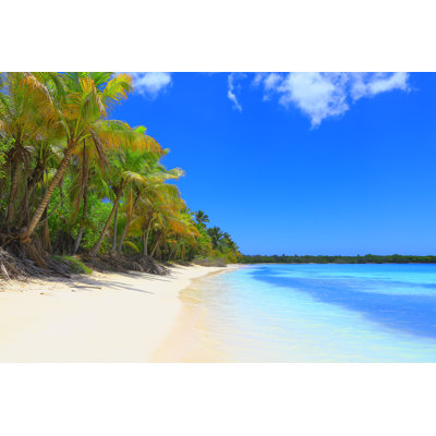 Turquoise Bright Beach by Agustavop