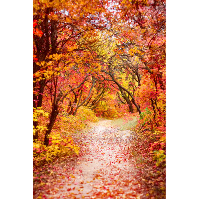 Autumn Trees by Fadheit - Wrapped Canvas Print