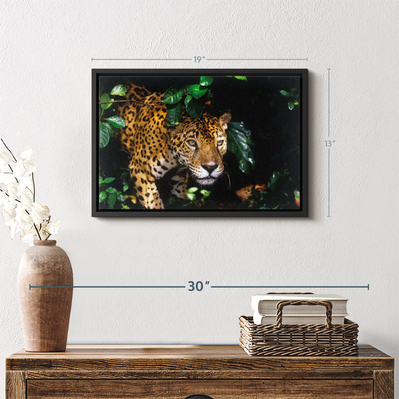 Animal «Rainforest Jaguar Wall Art», H 13 po x l 19 po