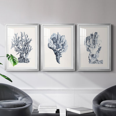 Corail antique bleu II - Étude nautique antique, sous passe-partout et encadrement sous verre acrylique, ensemble de 3, décoration murale côtière pour salon