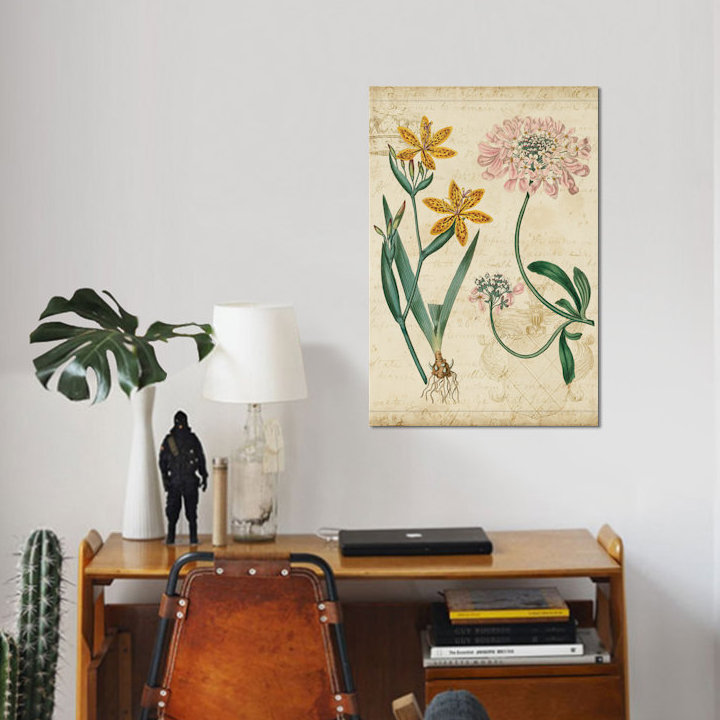 « botanique répertoire i », reproduction d’impression sur toile tendue, H 40 po x l 26 po x P 1,5 po, Toile tendue