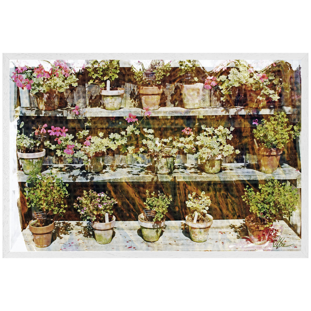 Single Picture Frame Print